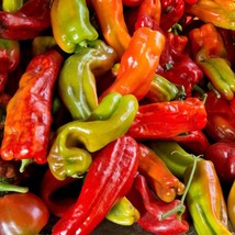 USA Seller Anaheim Hot Chili Pepper Seeds Packet Of 10 Seeds Free Shipping - $18.97