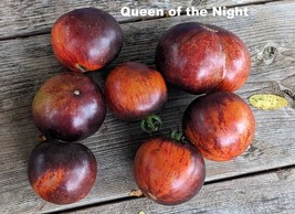 SEED-TOMATO Blackest Black Seeds- Queen of the Night or Black Beauty Hei... - $77.47 MXN+