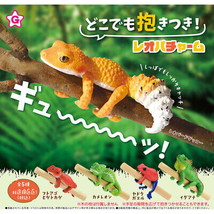 Hugging Leopard Gecko &amp; Friends Poison Dart Frog Bearded Dragon Chameleon Iguana - £11.72 GBP