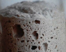 sourdough starter yeast from the &quot;WHARF&quot; in SAN FRANCISCO 155 YR OLD tan... - £7.03 GBP