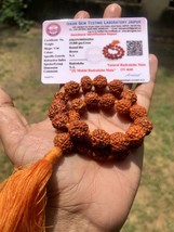 Perle de prière naturelle 5 Mukhi RUDRAKSH Rudraksh Mala ROSAIRE 27+1 certifi... - $15.66