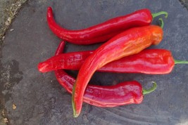 Bridge to Paris Sweet Pepper - finest long sweet pepper - $5.25