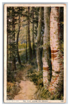 Lot of 3 White Mountain Birches New Hampshire NH WB Postcard U3 - £4.20 GBP