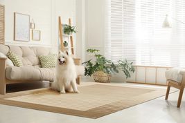 EORC LLC, OCU2BN5X8 Handmade Wool &amp; Viscose Urban Rug, 5&#39; x 8&#39;, Ivory Area Rug - £400.68 GBP