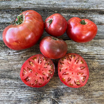 50 Seeds Carbon Tomato Juicy Tomatoe Vegetable Garden Fresh USA Shipping - £7.26 GBP