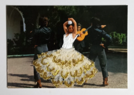 Spanish Flamenco Dancer Embroidered White Dress Postcard c1970s Novelty Spain - $14.99