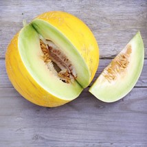 Melon Boule D’or, 15 Seeds R - £11.47 GBP