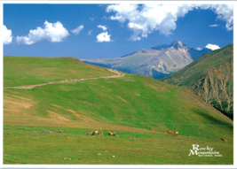 Trail Ridge Road Rocky Mountain National Park Colorado Postcard - £4.12 GBP