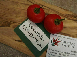 Cannibal Tomato - Solanum uporo - 20+ seeds - So 056 - $3.99