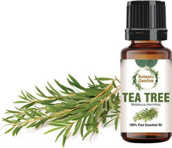 10 ml Natural Pure Tea Tree/ Melaleuca alternifolia Essential Oil - $29.49