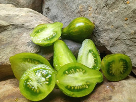 50 Seeds Green Pear Tomato Juicy Tomatoe Vegetable Garden Fresh USA Ship... - $9.89