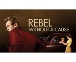 1955 Rebel Without A Cause Movie Poster 11X17 James Dean Natalie Wood  - $11.67