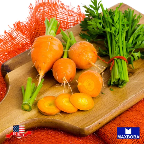 Premium Fresh 17600 Seeds Carrot Parisian Non-Gmo Heirloom Vegetable Garden - £25.94 GBP