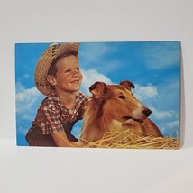 &quot;Pals&quot; Little Boy With His Dog Collie Country Farm Western Vintage Postcard  - $6.92