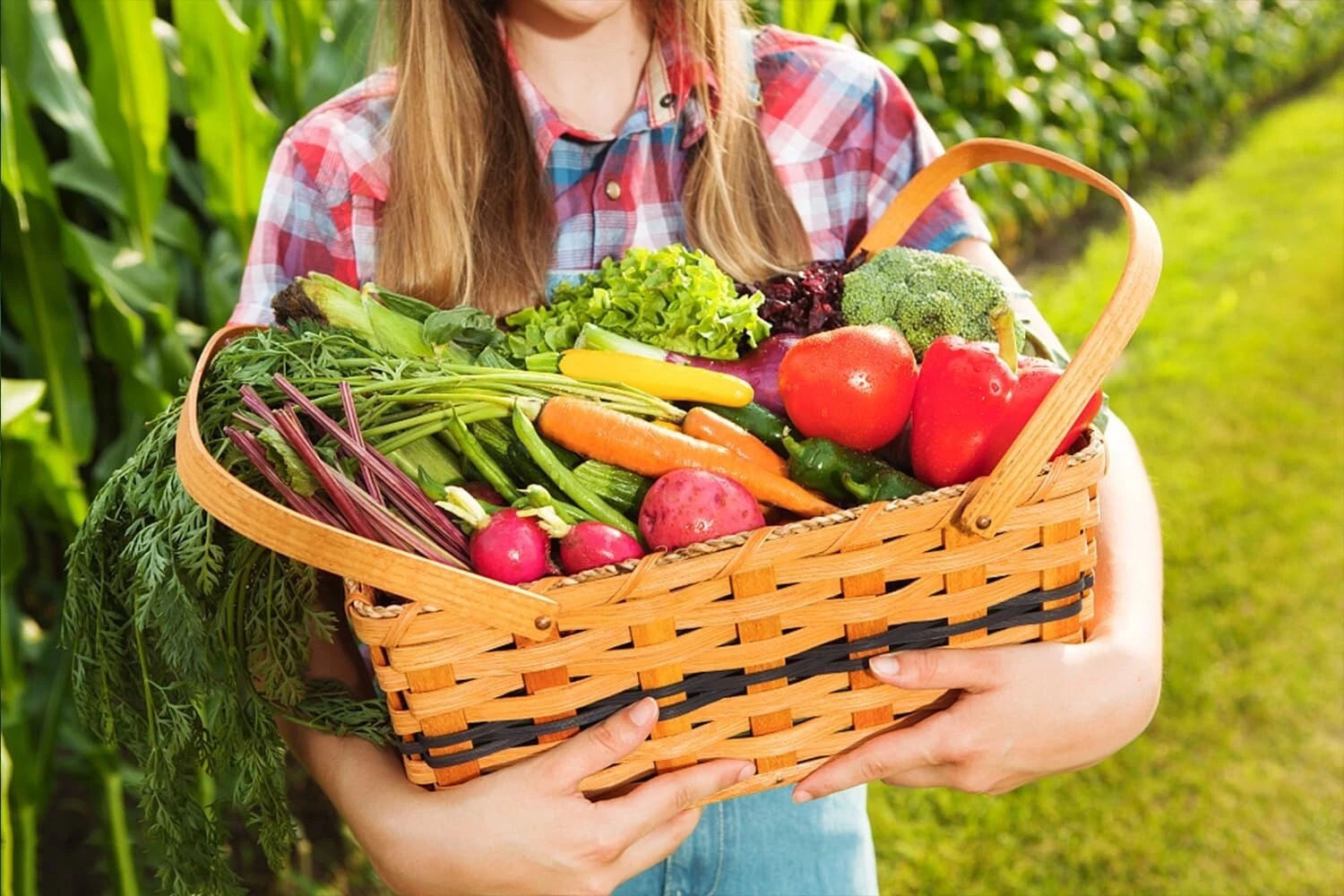 Easy to Grow 7 Varieties Of Nongmo fruit and vegetable seeds/ per bag X ... - $122.00