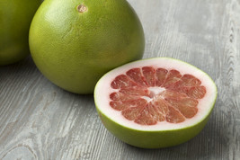 5 Pomelo Pummelo Grapefruit Seeds Planting USA Gardening - $7.96
