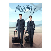 Flight to You (2023) Chinese Drama - £58.23 GBP