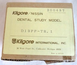 Kilgore Nissin Bonding Typodont Dental Study Model D13PP-TR.1 Natural Size NIB - £34.90 GBP