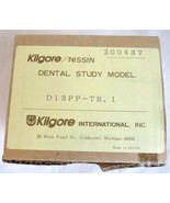 Kilgore Nissin Bonding Typodont Dental Study Model D13PP-TR.1 Natural Si... - $61.04 CAD