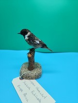 IT112 European Stonechat (Saxicola Rubicola) Bird Mount Taxidermy - £97.65 GBP