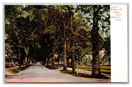 Boston Street View Looking East Madison Connecticut CT UNP UDB Postcard E17 - £3.73 GBP