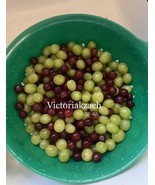 20 SEEDS XL GIANT RED GREEN TABLE DESERT GLOBE GRAPE VITIS VINIFERA QUIC... - $8.35