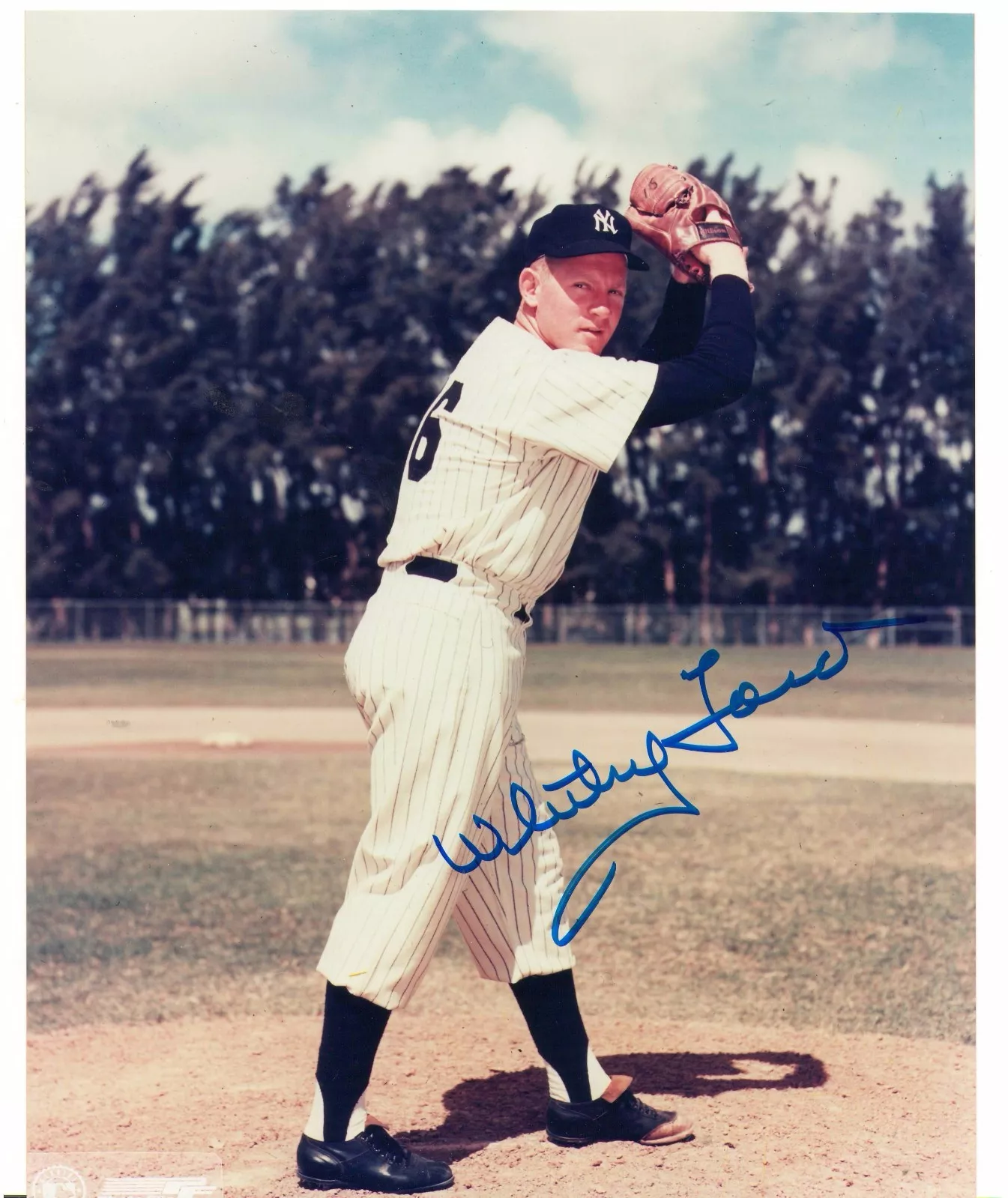 Whitey Ford New York Yankees autograph 8x10 photo - $27.99