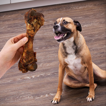 Natural Pork Femur Chew for Dogs, 1 Count, 9.28 Oz - £10.51 GBP