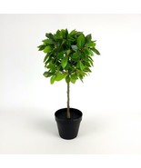 IKEA FEJKA Artificial Potted Plant Weeping Fig Stem 17&quot; 003.953.08 - £26.66 GBP