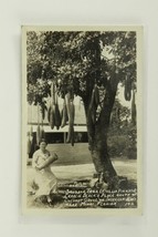 Vintage Postcard Simpson Rppc Sausage Tree Charlie Blacks Place Miami Fl No 142 - £10.11 GBP