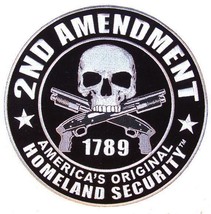 Deluxe Jumbo Embroideried 2nd Amendment Homeland Security Patch Protect Guns #58 - £18.94 GBP