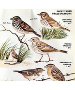 Short Tailed Grass Sparrows Varieties 1966 Color Bird Art Print Nature A... - $27.73 CAD