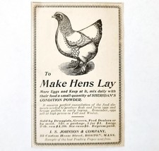 Sheridan Egg Condition Powder Hens 1897 Advertisement Victorian Farm ADB... - $372.61 MXN