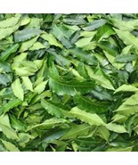 Neem Azadirachta indica Thai Herb Soap Shampoo Toothpaste Skin Hair Nail... - $17.94 CAD