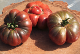 40 Pc Seeds Purple Calabash Tomat Plant, Solanum Lycopersicum Seeds for Planting - £13.23 GBP