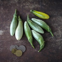 Eggplant Thai Green Frog Fingers, 25 Seeds R - £12.80 GBP