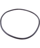 PARAMOUNT 005-152-2206-00 O-Ring Paramount EDC Debris Canister Lid - $43.47 CAD