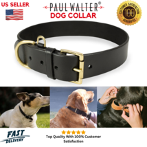 Dog Collar In Genuine Leather, Heavy Duty, Brass Buckle, Small To Large Dogs - £16.43 GBP+