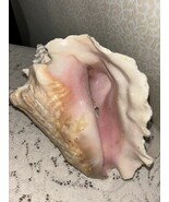 Vintage 1960s Large Queen Conch Shell Pink Aprox  7&quot; Beach Decor Nautical - $912.32 MXN