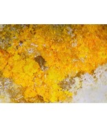 REDCANYONITE - Blue Lizard Mine, Red Canyon, San Juan County, UTAHR - $459.21 CAD