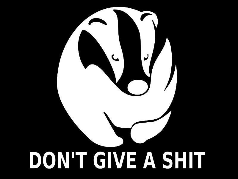 HONEY BADGER DON'T GIVE A SH*T Vinyl Decal Car Window Sticker CHOOSE SIZE COLOR