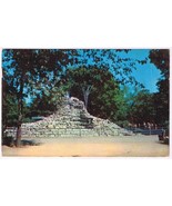 Postcard Monkey Island Como Park St Paul Minnesota St Marie&#39;s Gopher News - £3.88 GBP