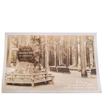 Postcard RPPC Entering Lanes Redwood Flat on the Redwood Highway Unposted - £16.63 GBP