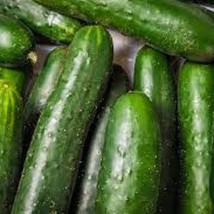 Seeds USA Seller Sweet Success Cucumber Seeds - £5.23 GBP