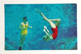 Weeki Wachee Spring of the Mermaids Florida Attraction Dexter Postcard 1... - £7.81 GBP