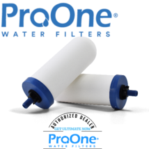 ProOne 9&quot; G2.0 filter elements - per pair - $155.38