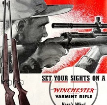 Winchester Varmint Rifle 70 1930s Advertisement Lithograph Firearms Guns DWCC2 - £31.96 GBP