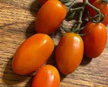 50 Seeds Napa Grape Tomato Tomatoe Vegetable Garden - £7.75 GBP