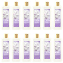 12-Pack New Caress Body Wash for Dry Skin Brazilian Gardenia & Coconut Milk 18oz - £68.67 GBP