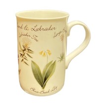 Hayward &amp; Warwick Wildflowers Newfoundland &amp; Labrador Fine Bone China Mug 1855 - £17.01 GBP